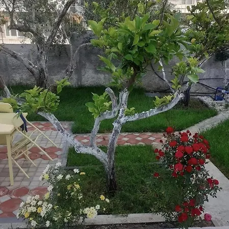 Begaj2 Apartment Tirana