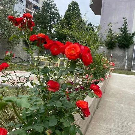 Begaj2 Apartment Tirana